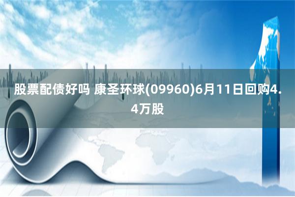 股票配债好吗 康圣环球(09960)6月11日回购4.4万股