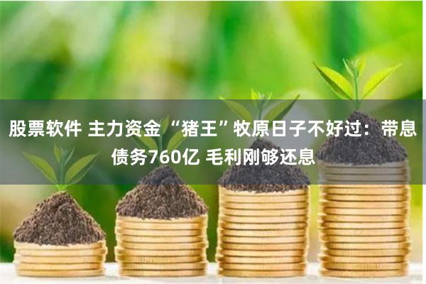 股票软件 主力资金 “猪王”牧原日子不好过：带息债务760亿 毛利刚够还息