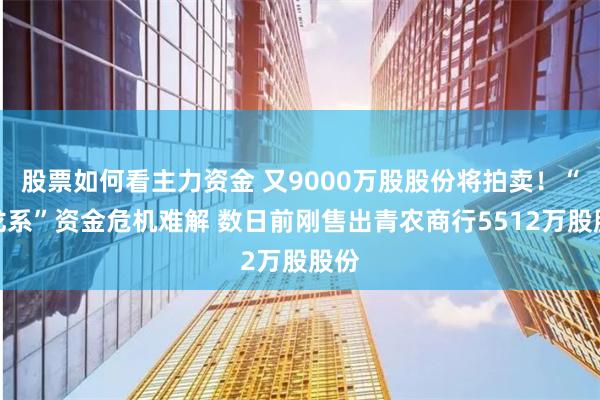 股票如何看主力资金 又9000万股股份将拍卖！“巴龙系”资金危机难解 数日前刚售出青农商行5512万股股份