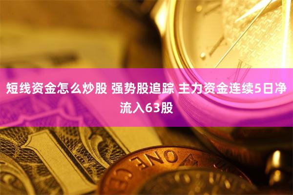 短线资金怎么炒股 强势股追踪 主力资金连续5日净流入63股