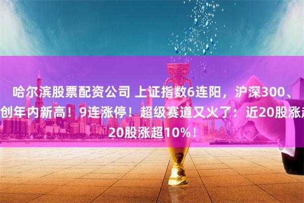 哈尔滨股票配资公司 上证指数6连阳，沪深300、上证50创年内新高！9连涨停！超级赛道又火了：近20股涨超10%！