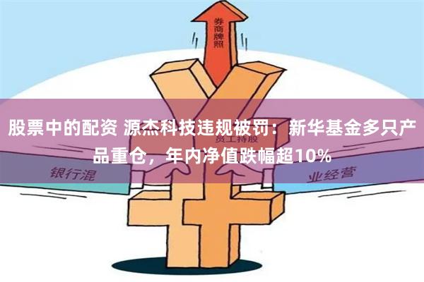 股票中的配资 源杰科技违规被罚：新华基金多只产品重仓，年内净值跌幅超10%