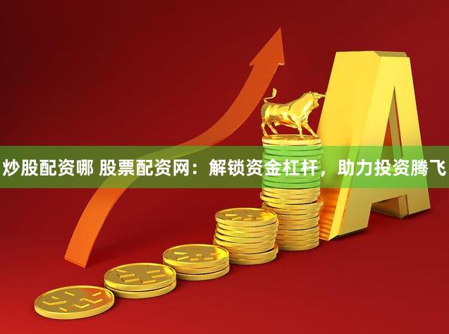 炒股配资哪 股票配资网：解锁资金杠杆，助力投资腾飞