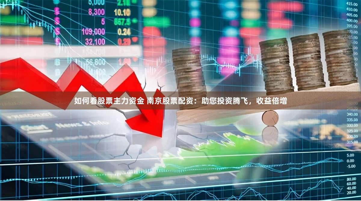 如何看股票主力资金 南京股票配资：助您投资腾飞，收益倍增